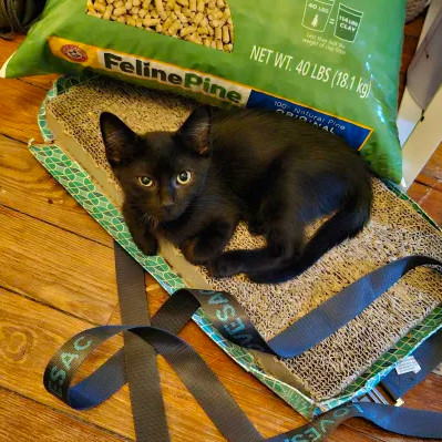 Nightshade (bonded with Chex)