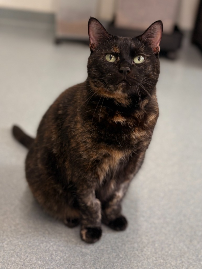 Missy (fka Gracie Valentina)