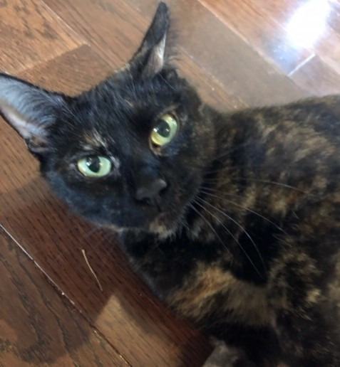 Missy (fka Gracie Valentina)