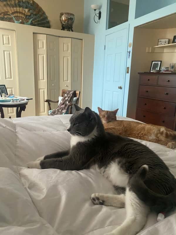 Connor and Payton (courtesy post)