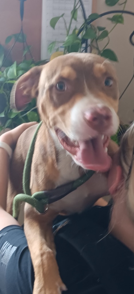 Oliver