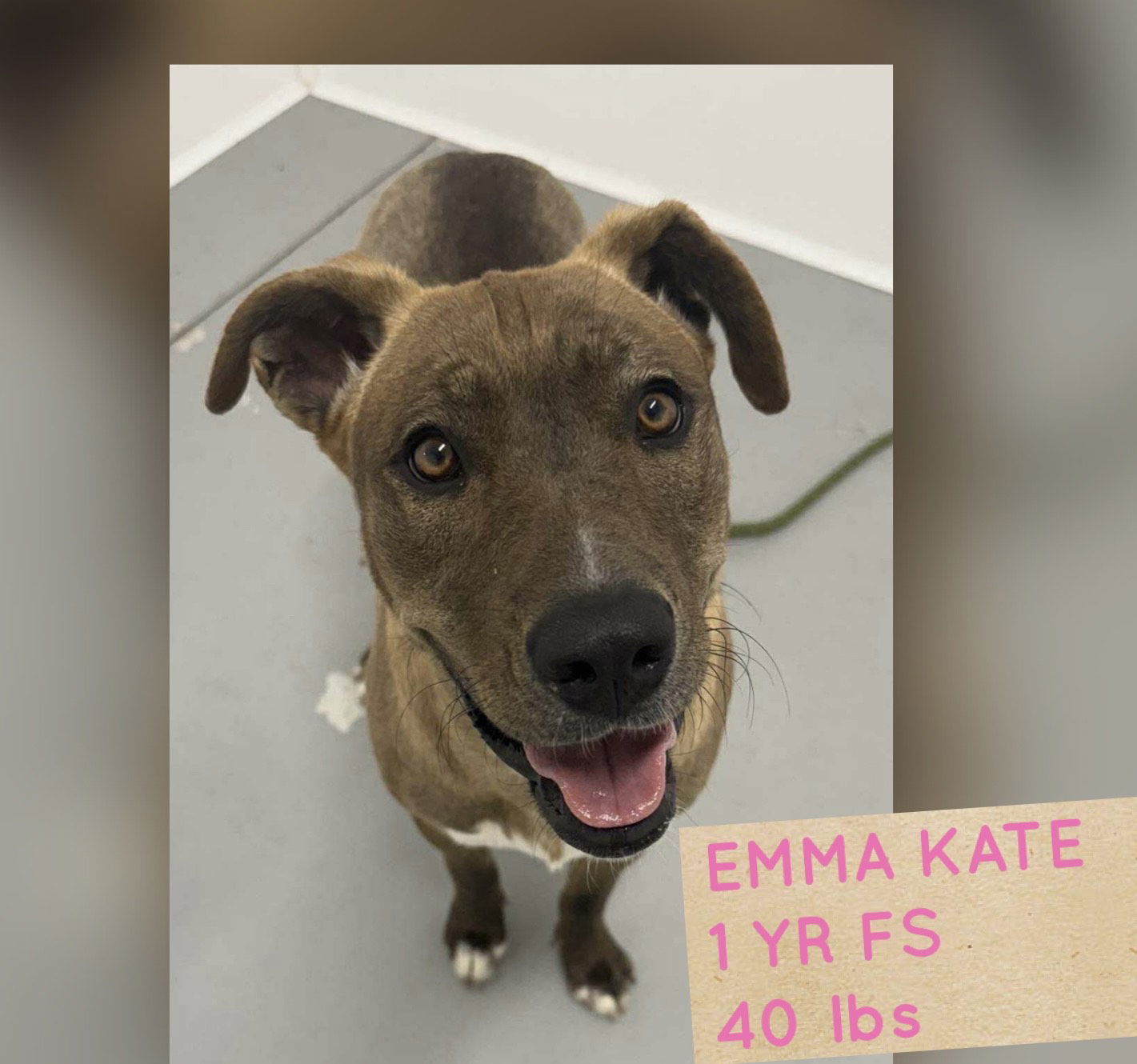 EMMA KATE