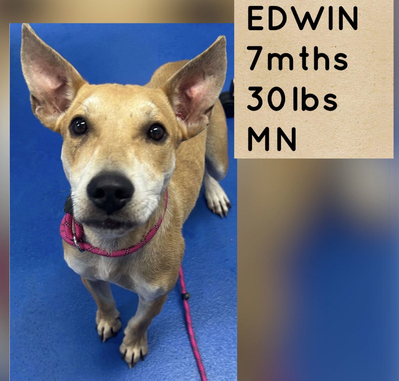 EDWIN