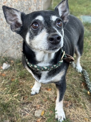 Zoey