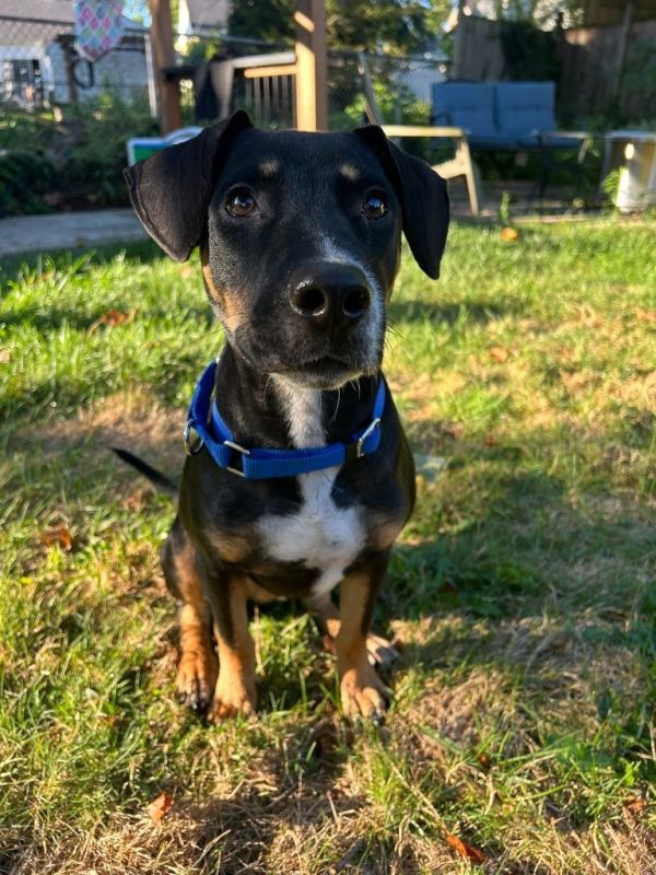 Axel