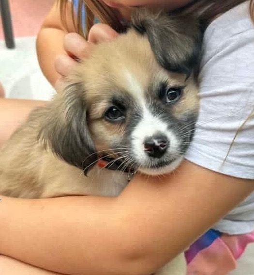 Frankie