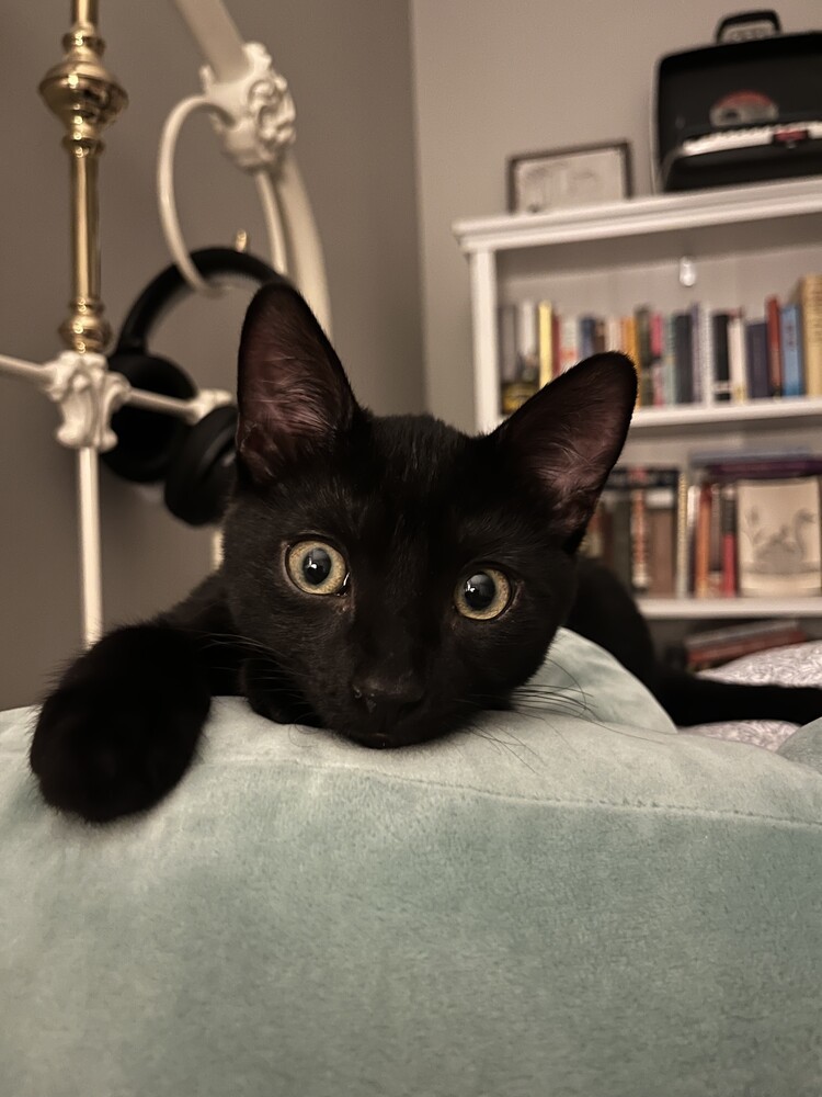 Denzel