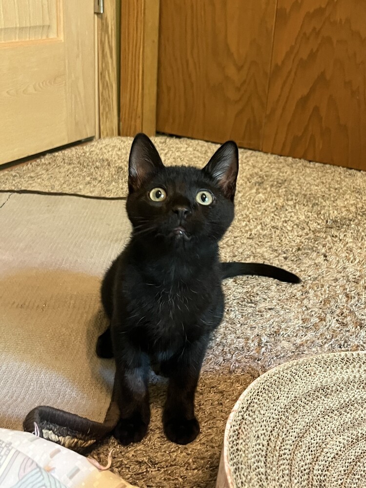 Denzel