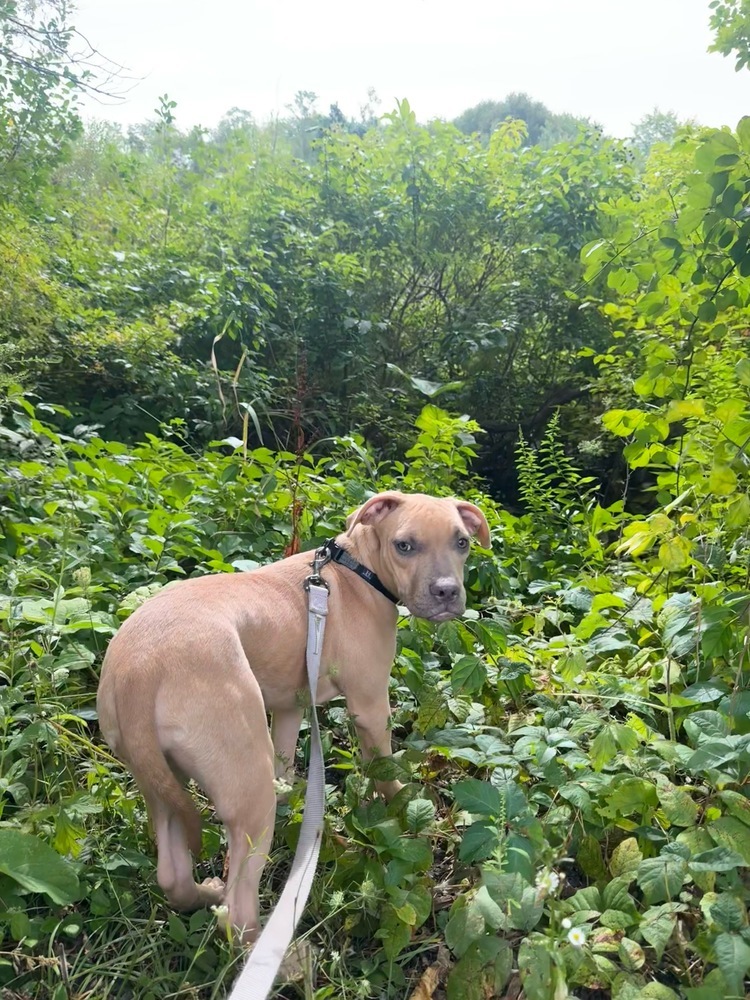 Wally