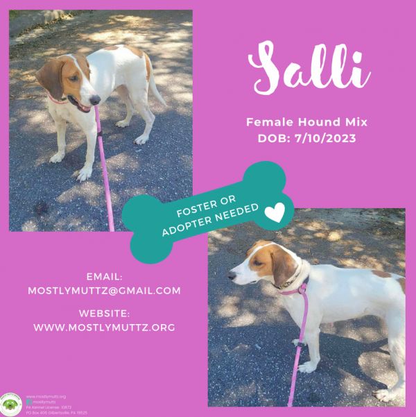 Salli