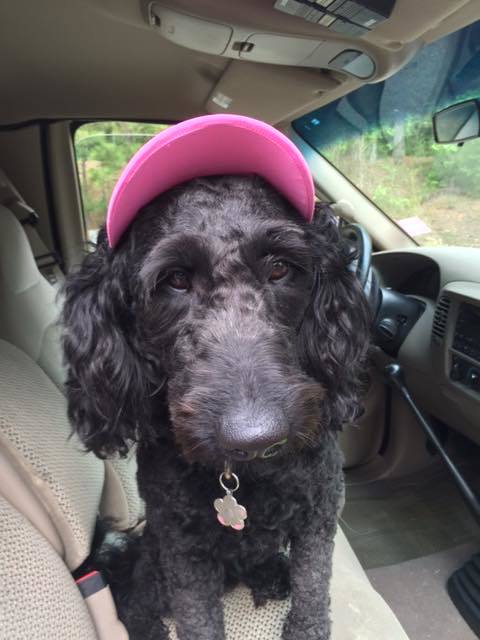 Makati - Bonded Pair