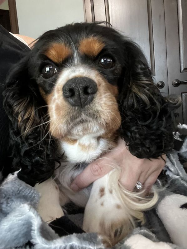 Tilly