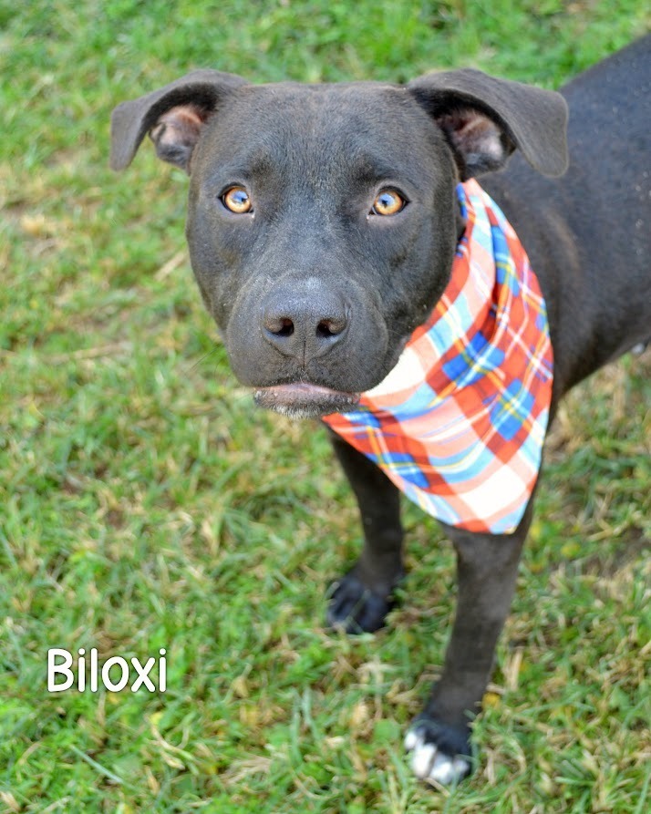 Biloxi