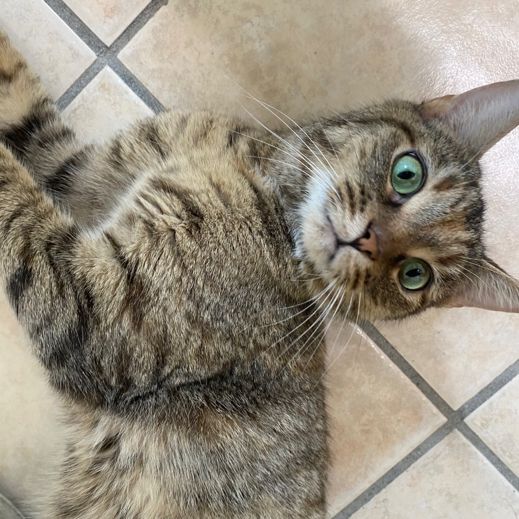 Jezebel