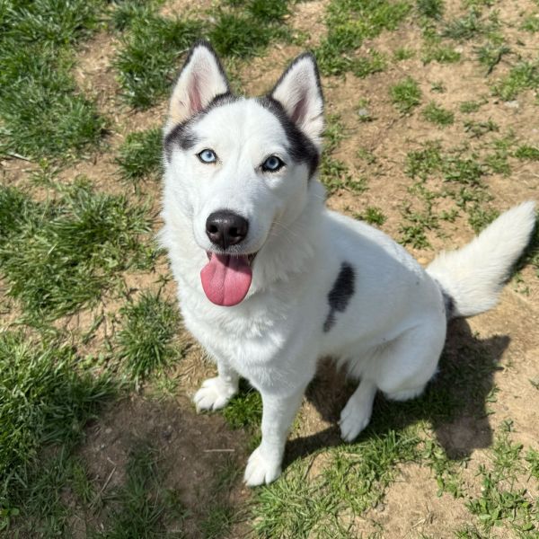 Luna