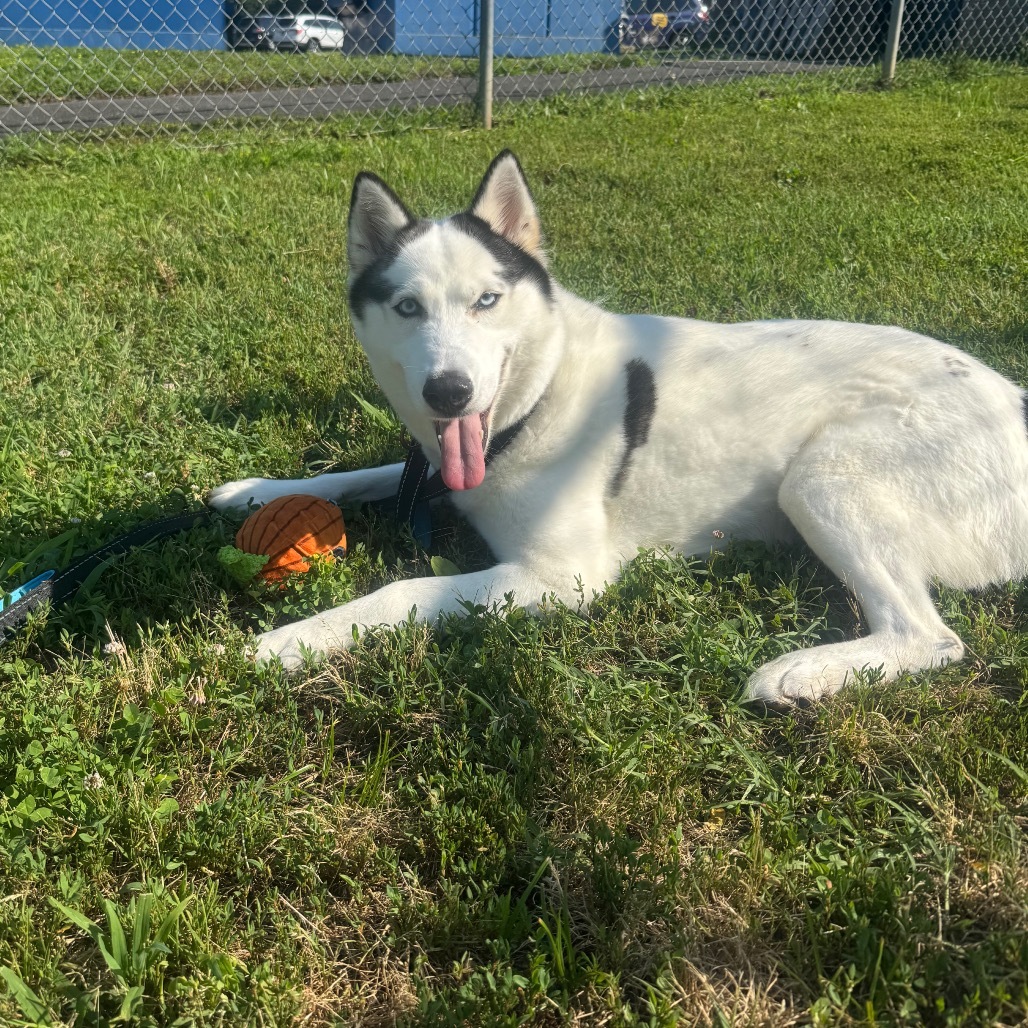 Luna