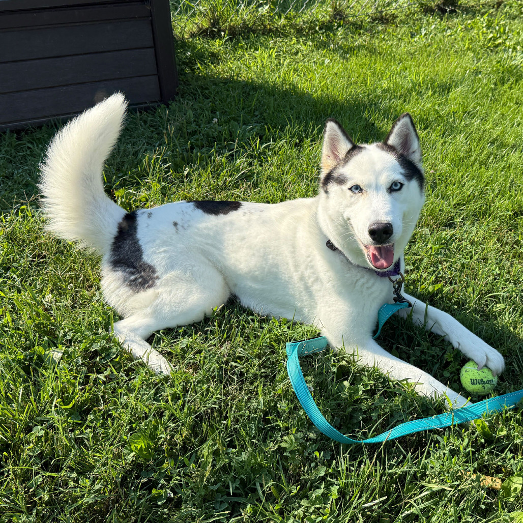 Luna