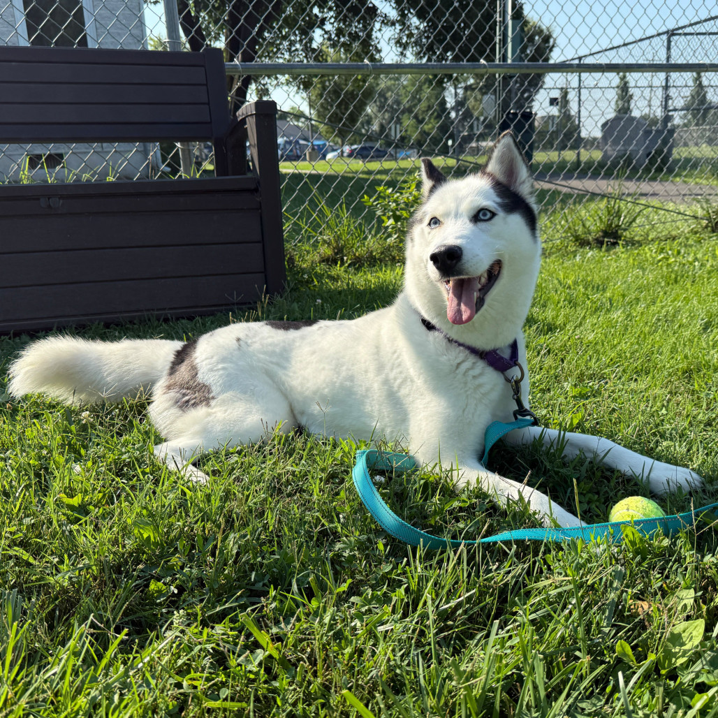 Luna