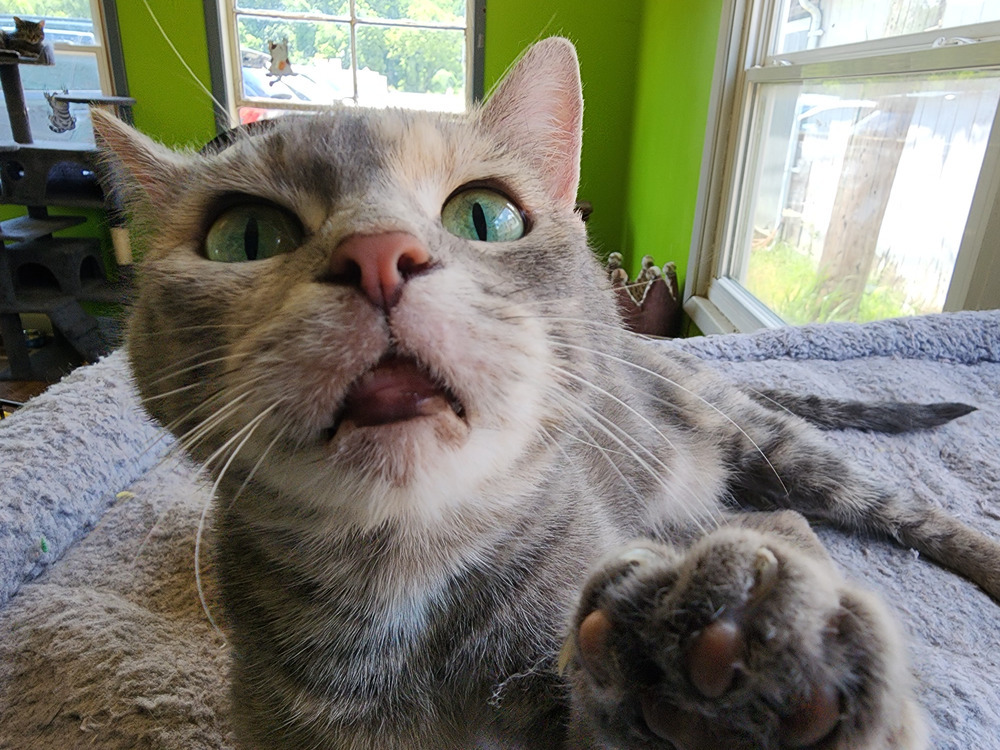 Spunky