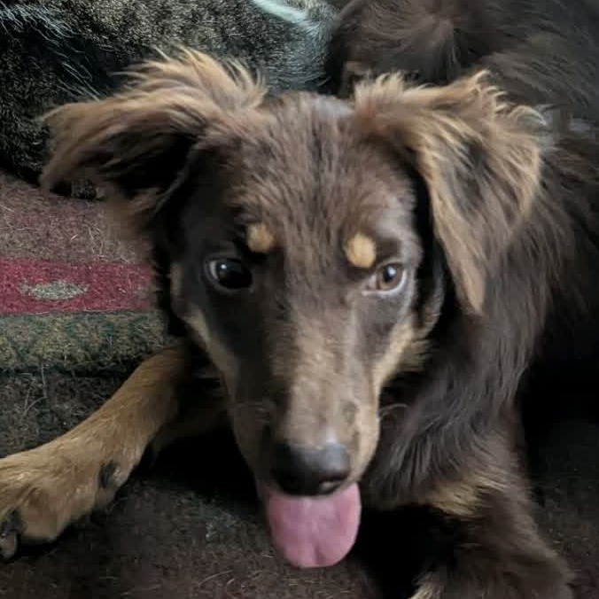 Oscar