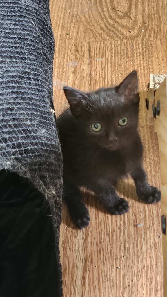 Fred