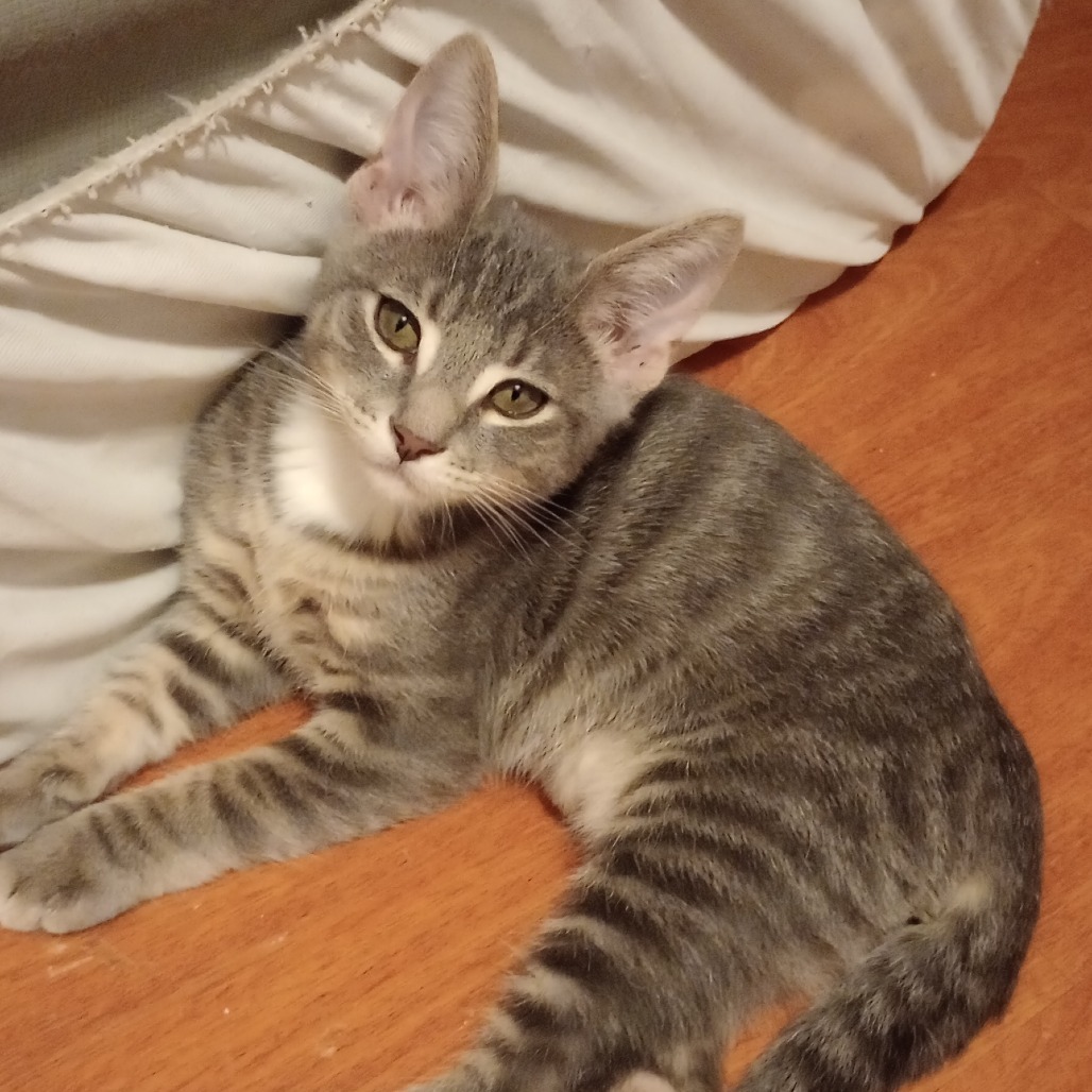 Yukon
