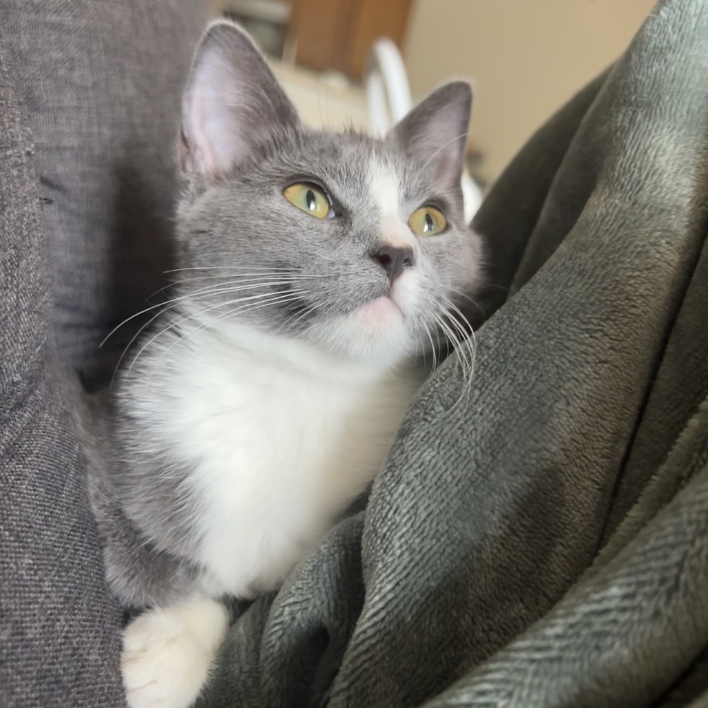 Rosie