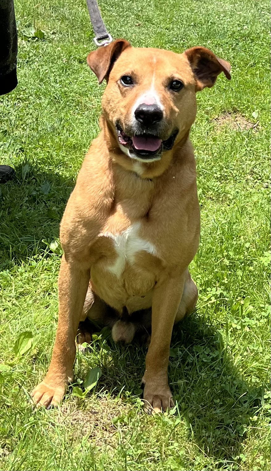 Max