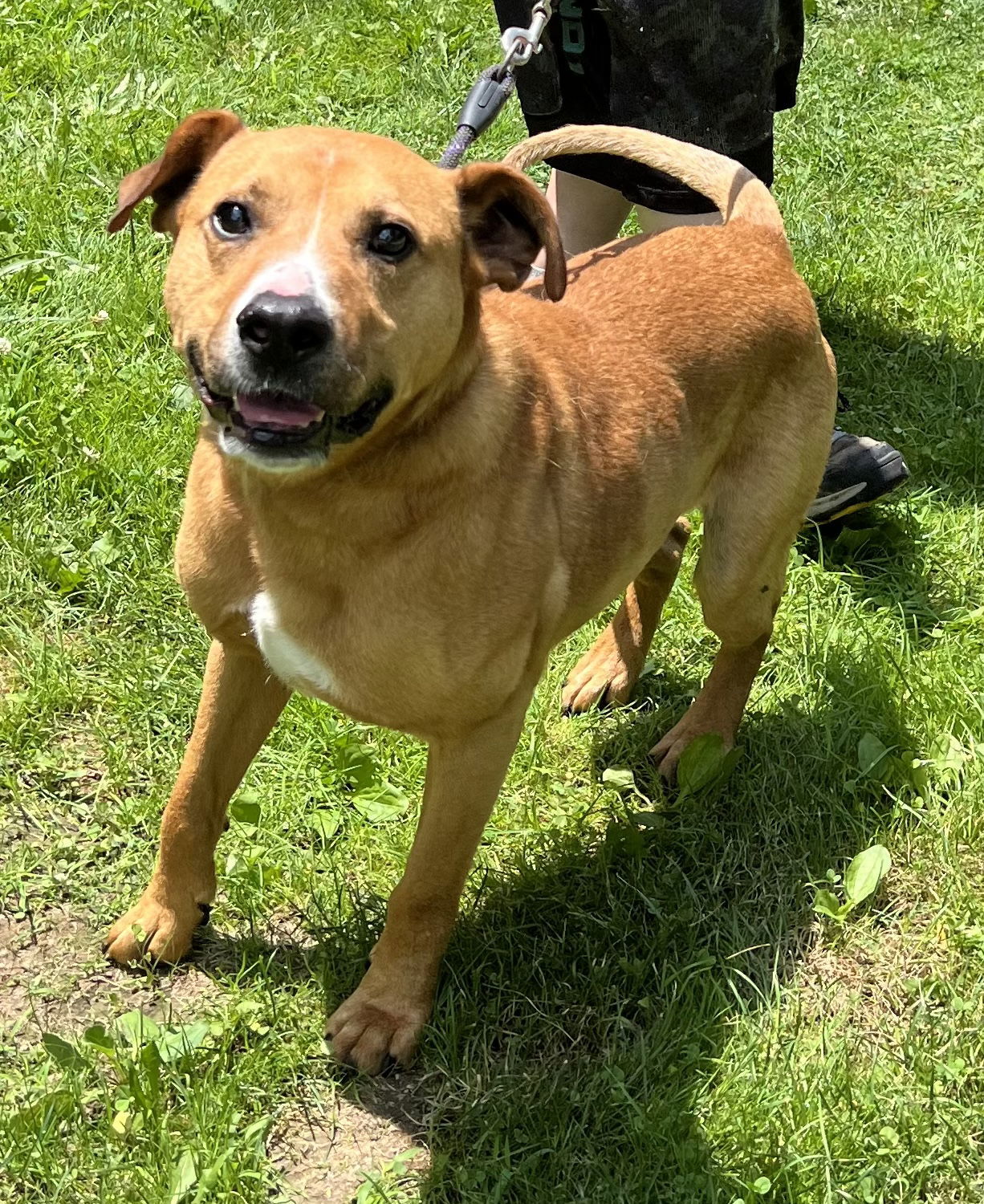 Max