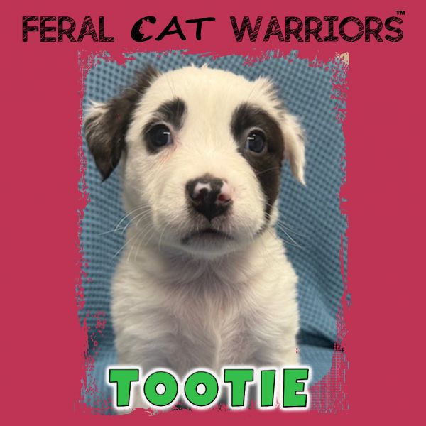 Tootie