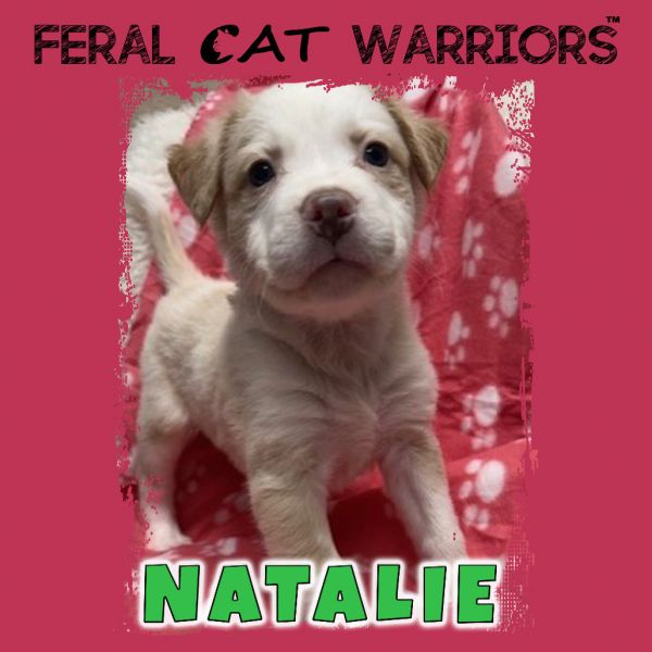 Natalie