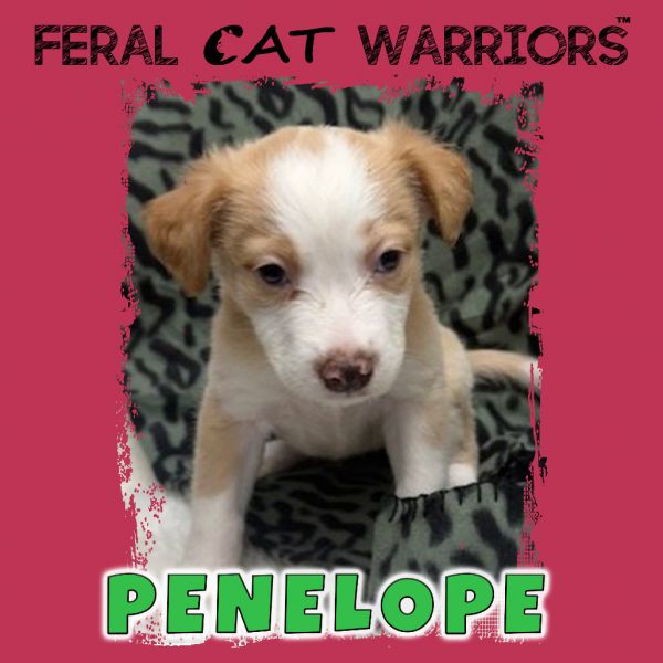 Penelope