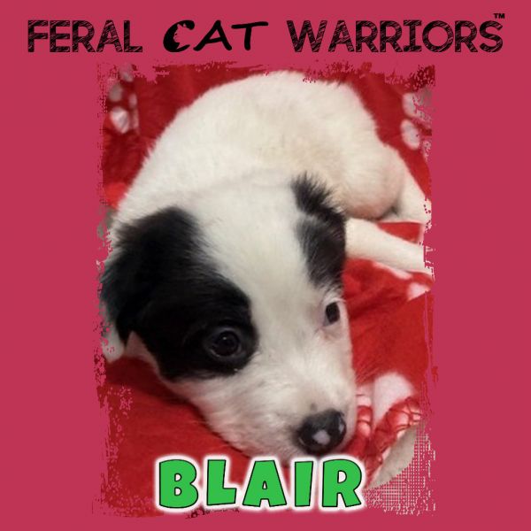 Blair