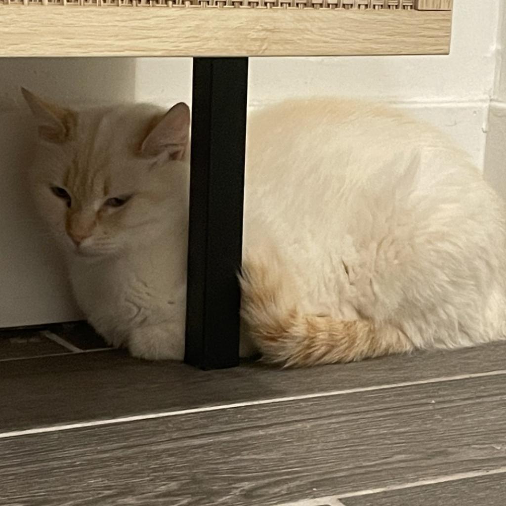Lupita