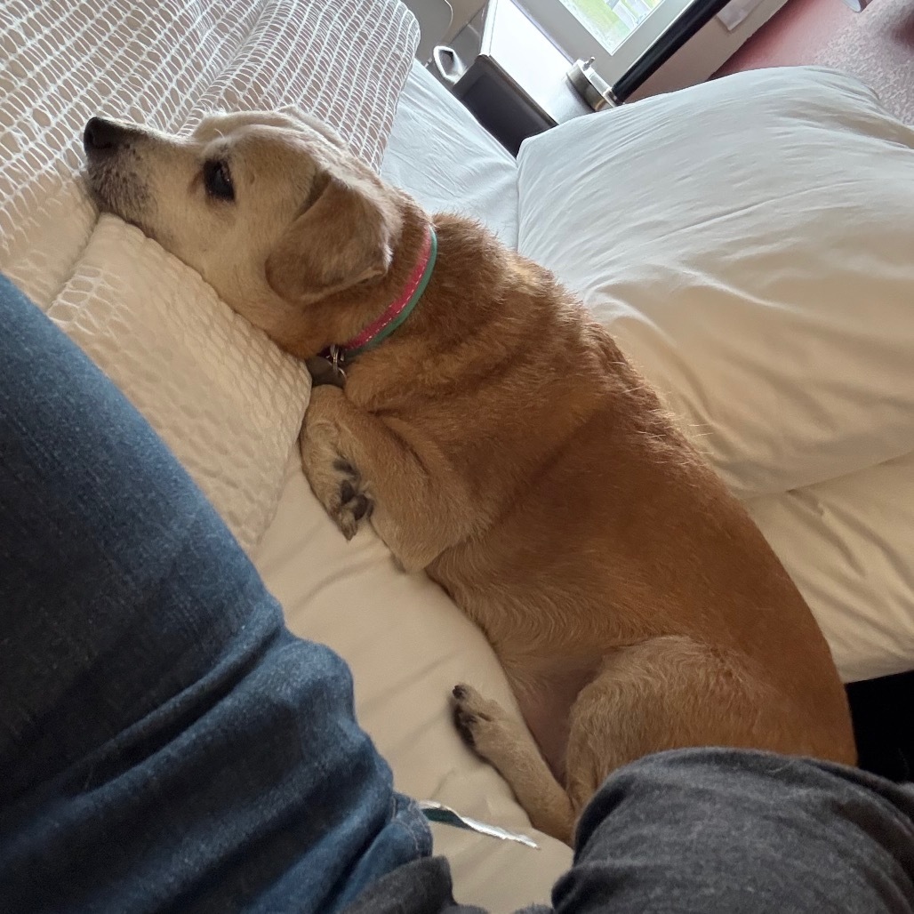 Nuggie