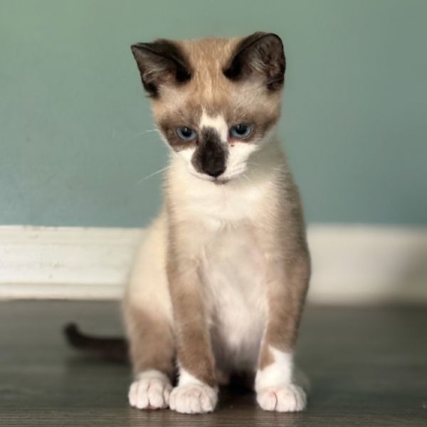 Spanky