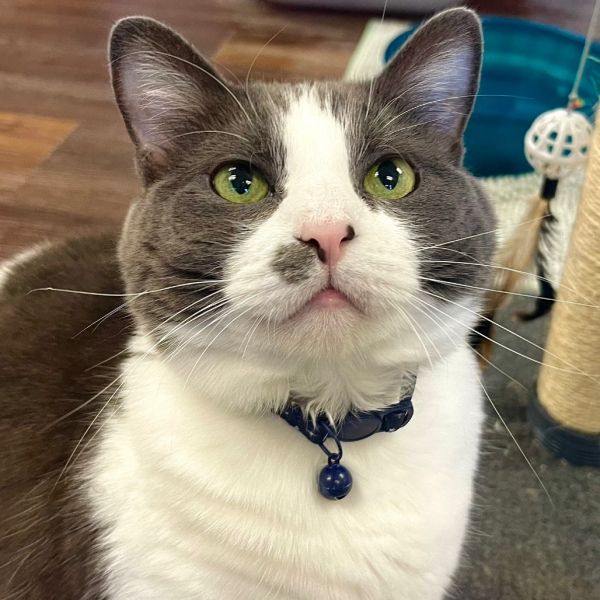 Luna