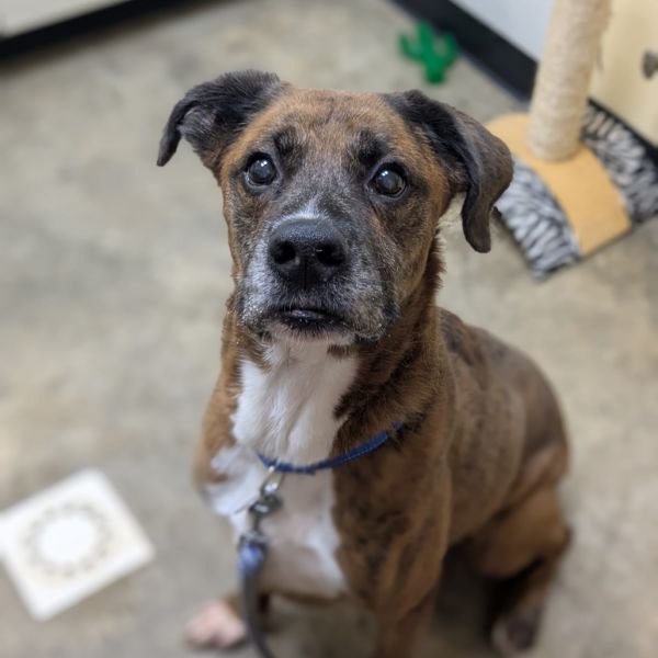 Winston