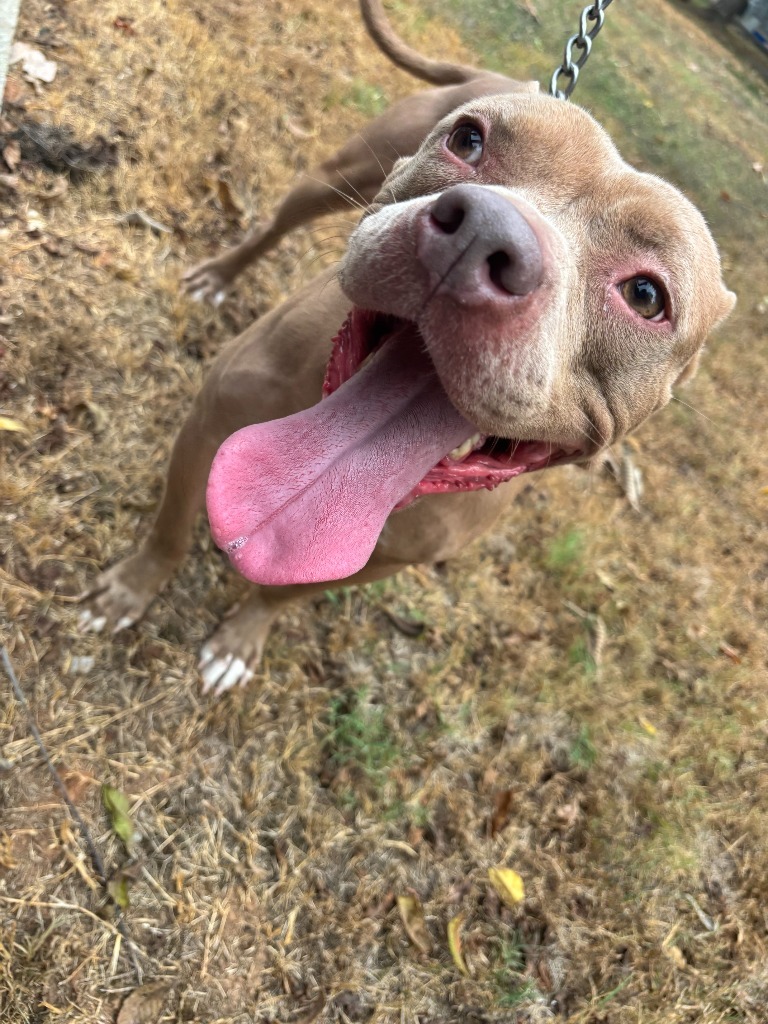 Josie