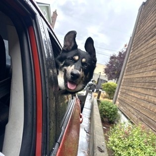 Benji