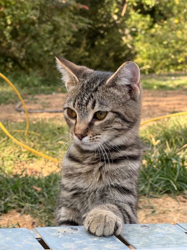 Little One thumbnail 2