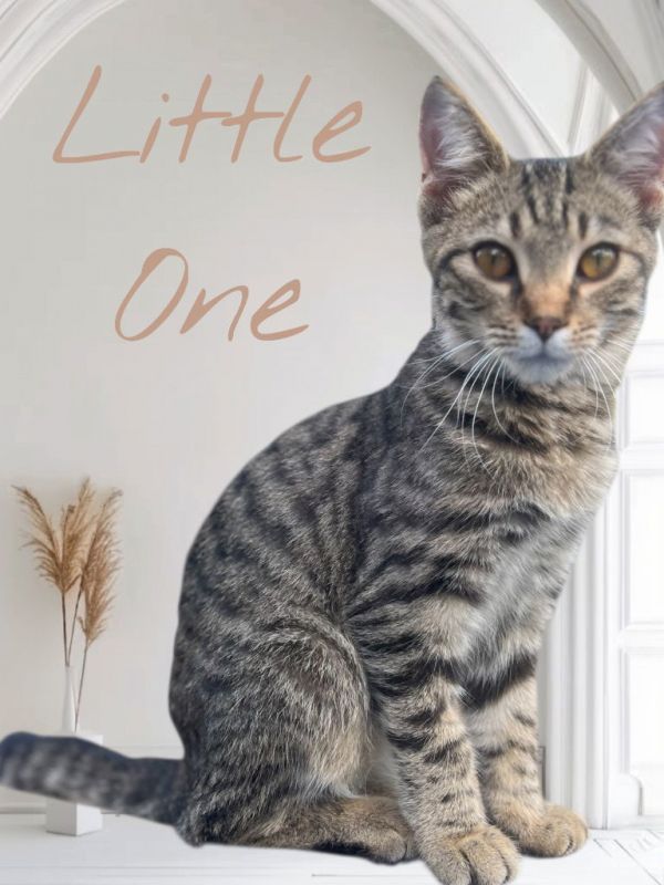 Little One thumbnail 3