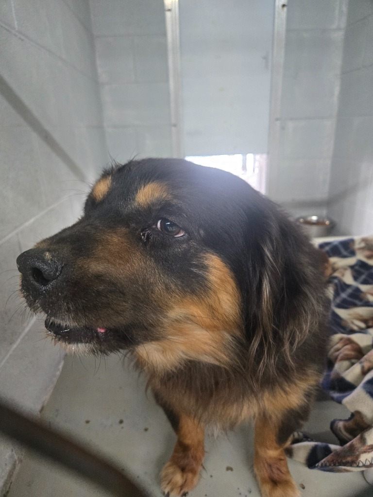 Jax