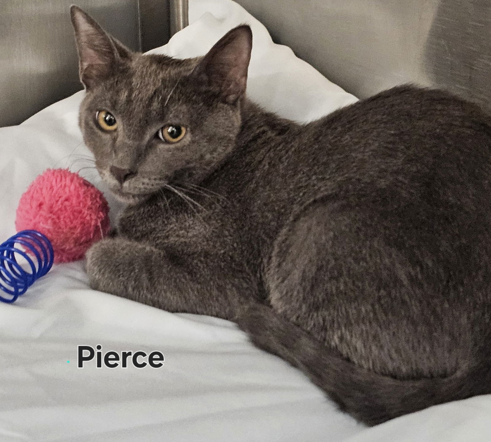 PIERCE and PETER