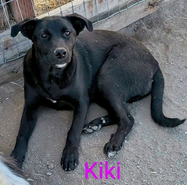 Kiki