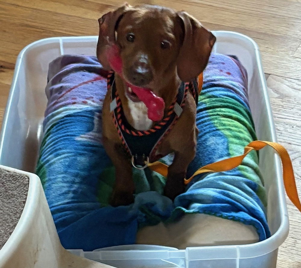 Cooper