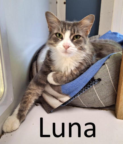 Luna