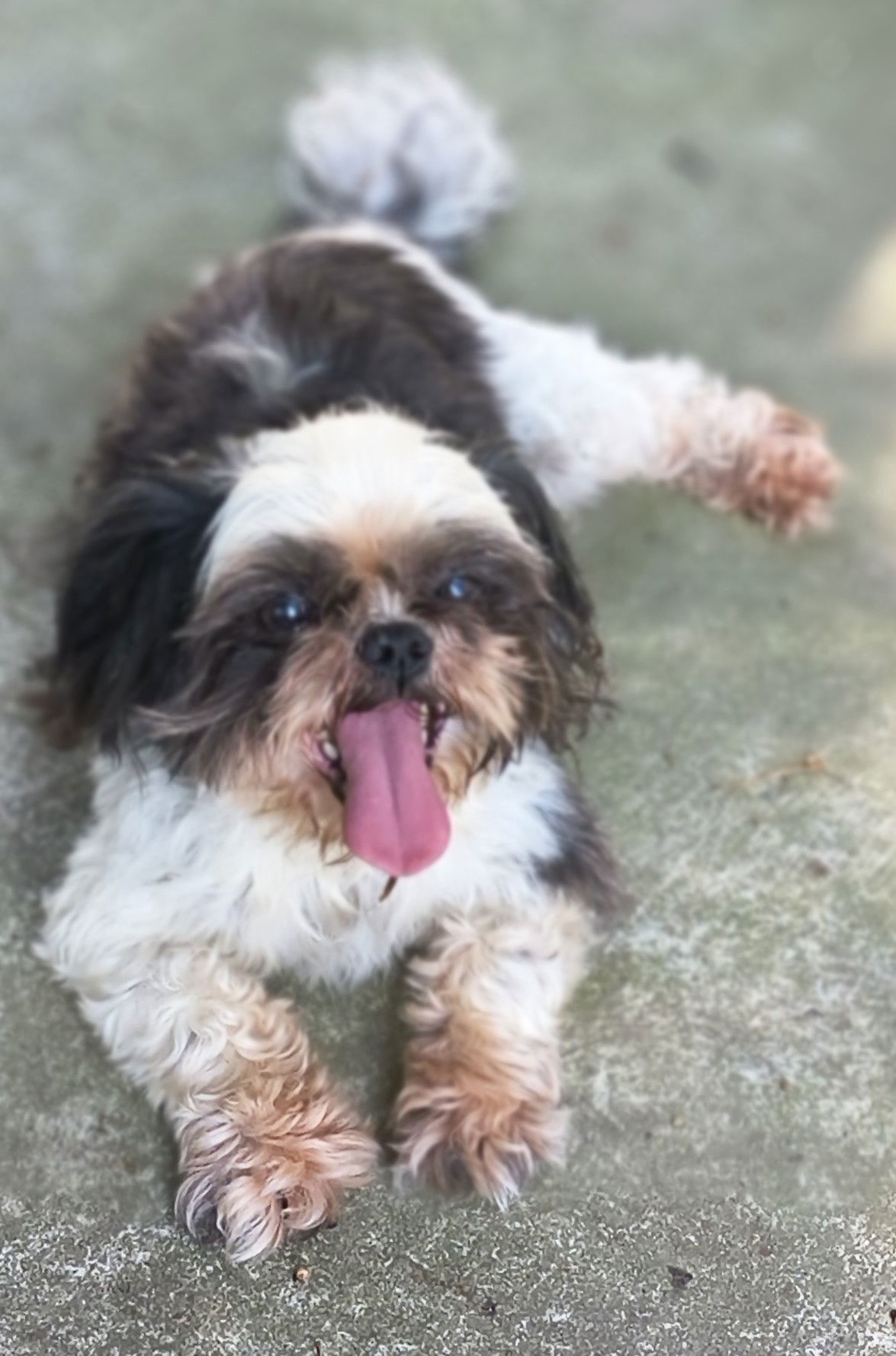 Sam