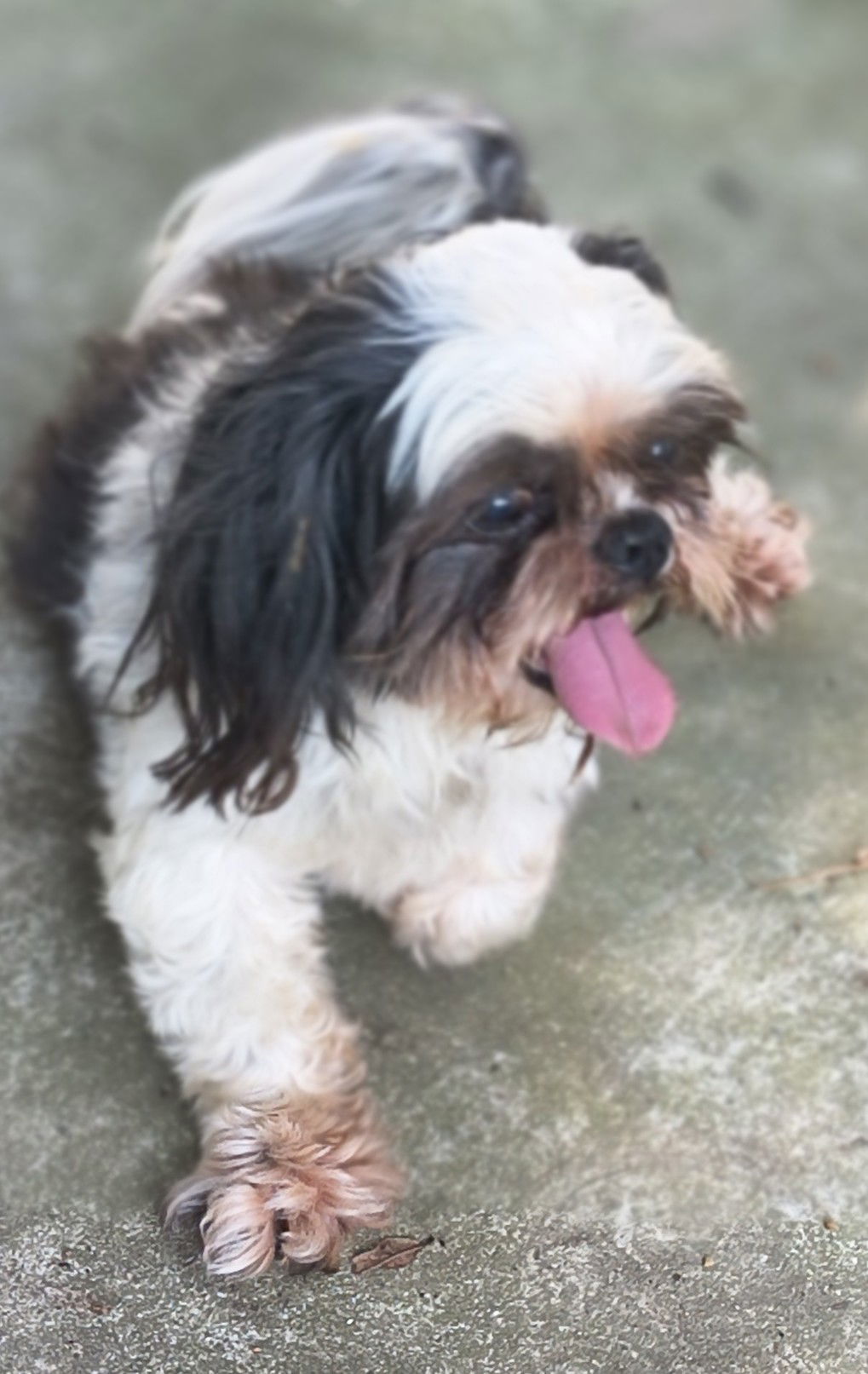 Sam