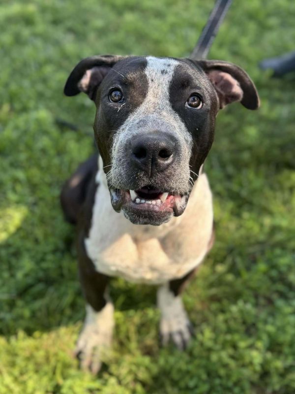 Duncan